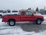 2009 Red /Grey Ford Ranger FX4 Off-Road SuperCab 4 Door (1FTZR45E19P) with an 4.0L V6 SOHC 12V engine, Automatic transmission, located at 116 5th Avenue South, Lewistown, MT, 59457, 47.063877, -109.427879 - Local trade, super clean Ranger 4X4 - Photo#1